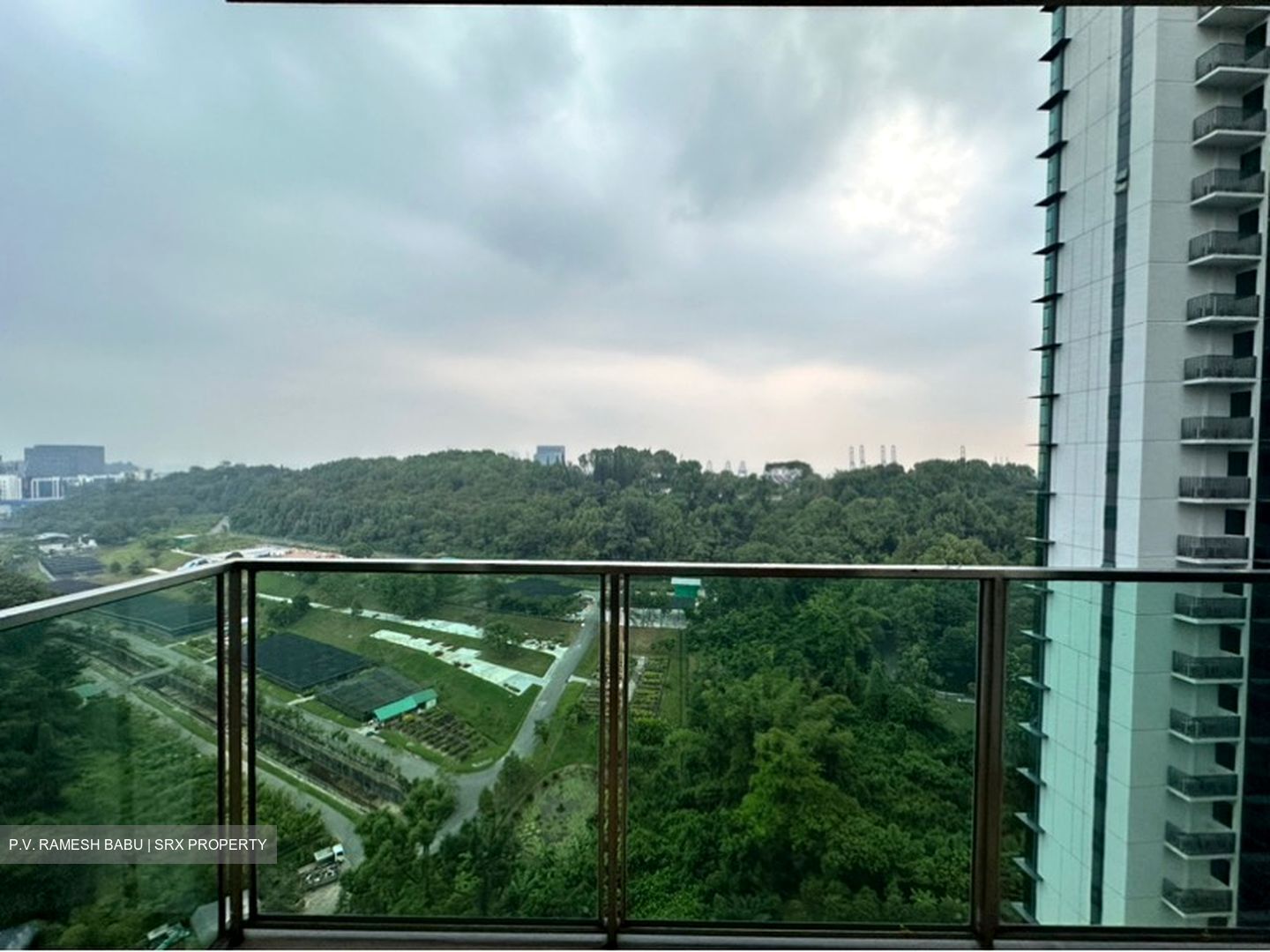Normanton Park (D5), Apartment #602267081